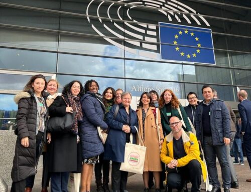 VOICES Cost Action at the European Parliament